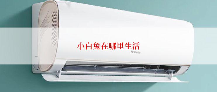 小白兔在哪里生活