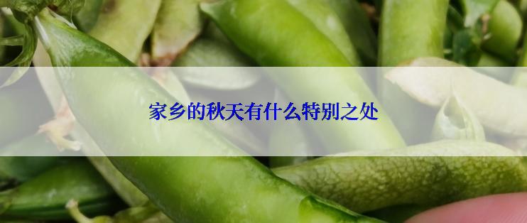 家乡的秋天有什么特别之处