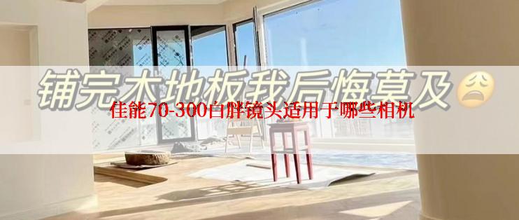  佳能70-300白胖镜头适用于哪些相机