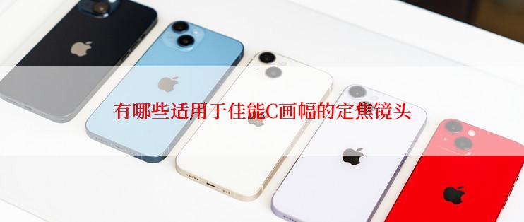 有哪些适用于佳能C画幅的定焦镜头
