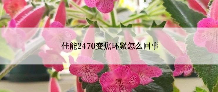  佳能2470变焦环紧怎么回事