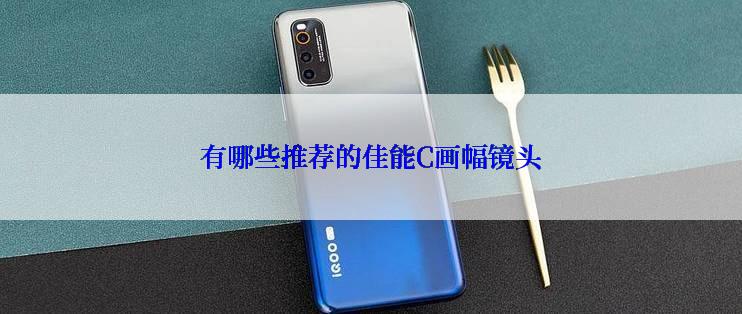 有哪些推荐的佳能C画幅镜头