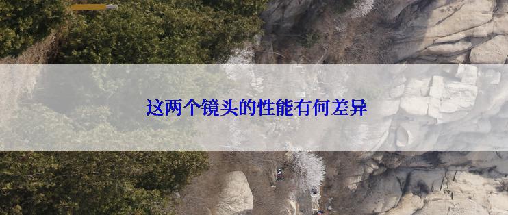  这两个镜头的性能有何差异