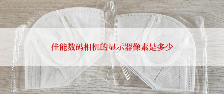 佳能数码相机的显示器像素是多少