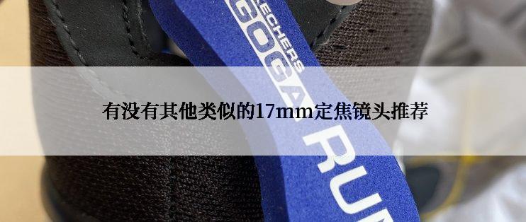  有没有其他类似的17mm定焦镜头推荐