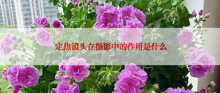  定焦镜头在摄影中的作用是什么