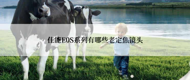 佳能E0S系列有哪些老定焦镜头