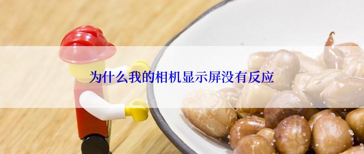 为什么我的相机显示屏没有反应