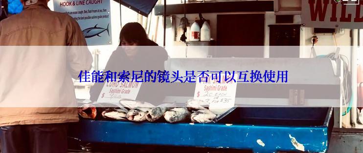  佳能和索尼的镜头是否可以互换使用