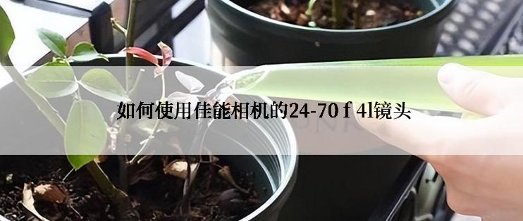  如何使用佳能相机的24-70 f 4l镜头