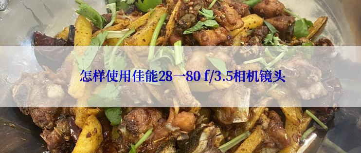  怎样使用佳能28一80 f/3.5相机镜头