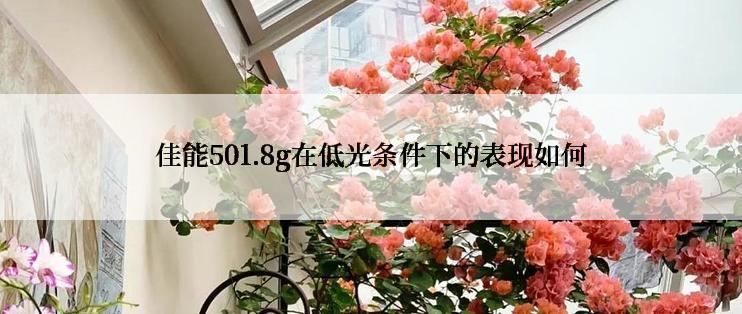 佳能501.8g在低光条件下的表现如何