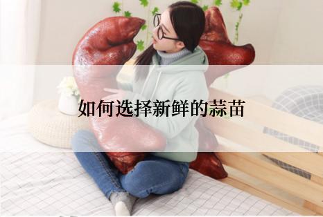 如何选择新鲜的蒜苗