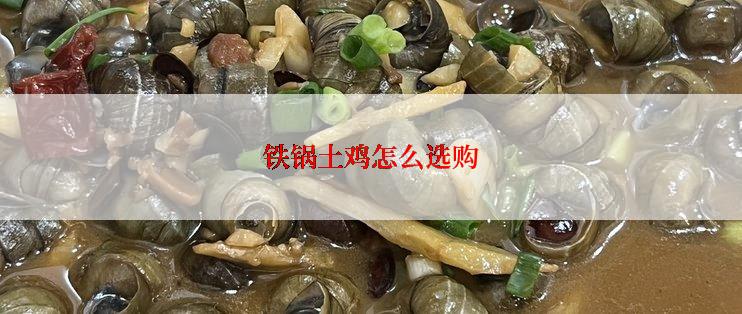 铁锅土鸡怎么选购